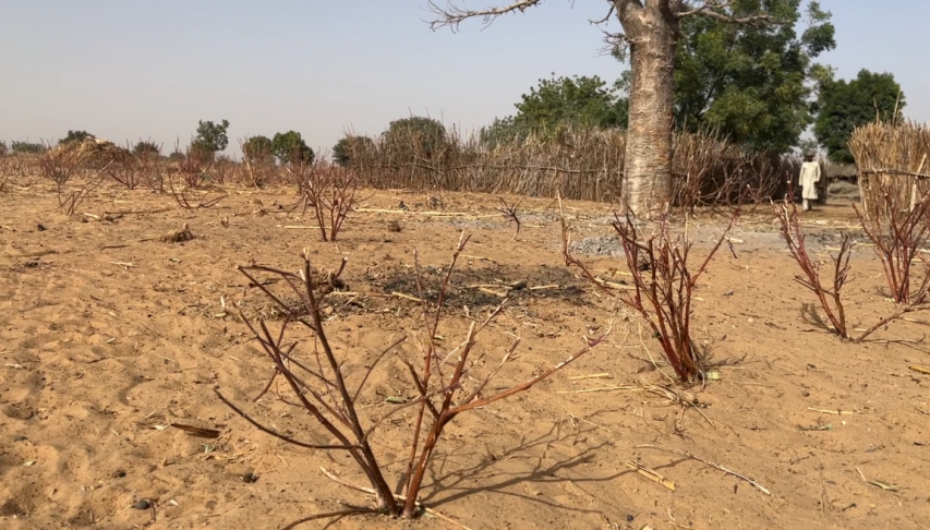 Screenshot 2024-06-11 170756